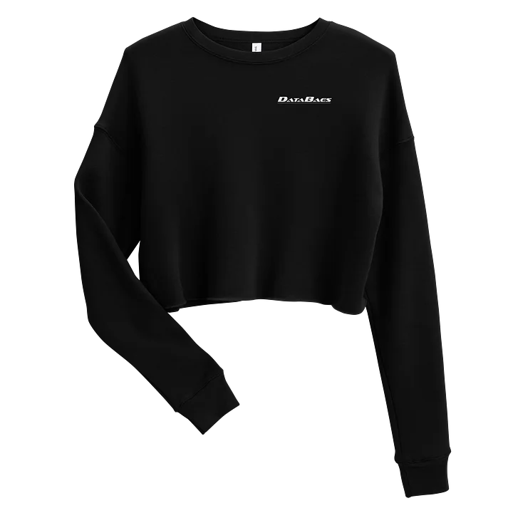 DataBaes Crop Sweatshirt product image (1)