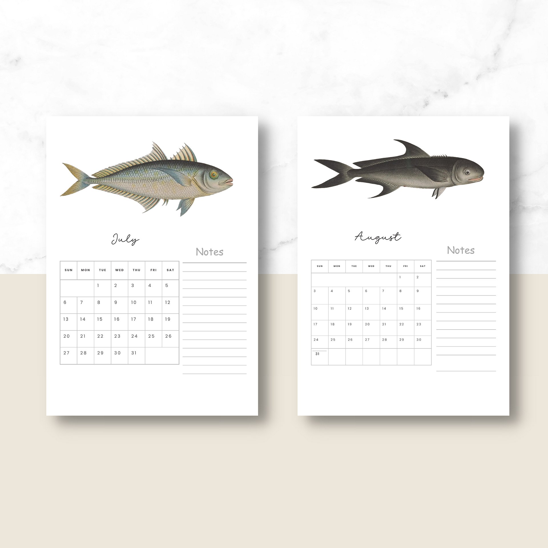 2025- 2026 PDF Calendar: Ocean Life product image (5)