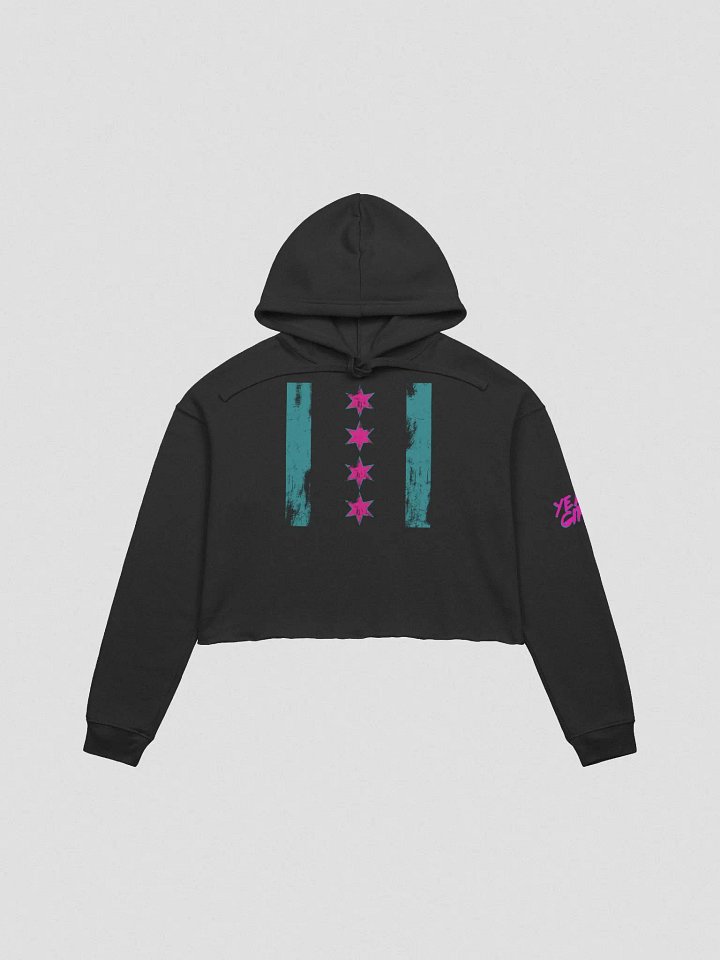 pnk Cropped Hometown Hoodie product image (2)