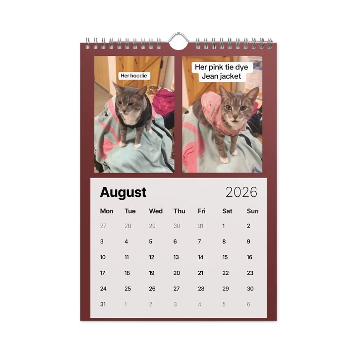 Phoenix: A Calendar for Cat Lovers and Dreamers 2026 Wall Calendar product image (2)