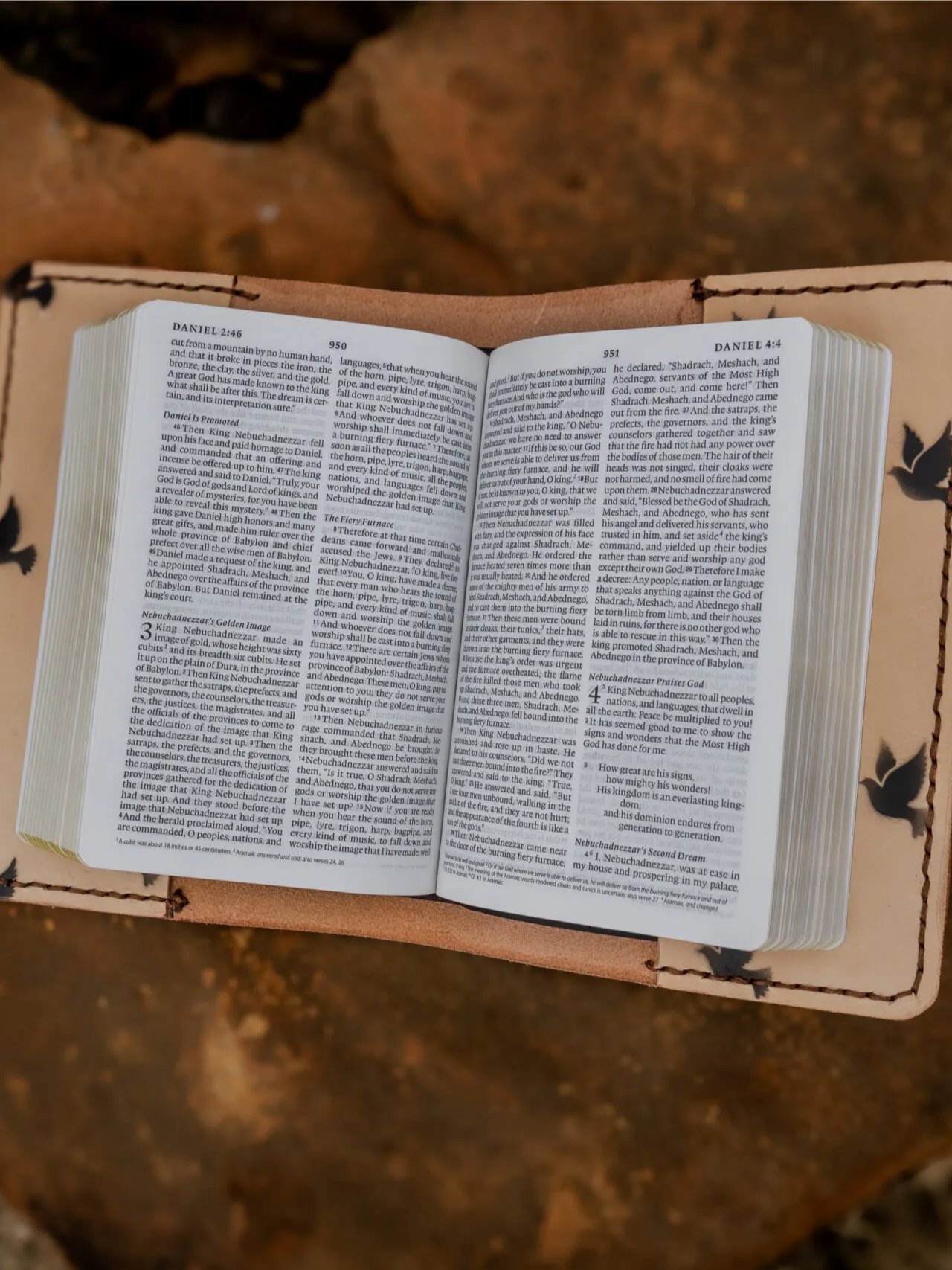 Doves Bible product image (3)