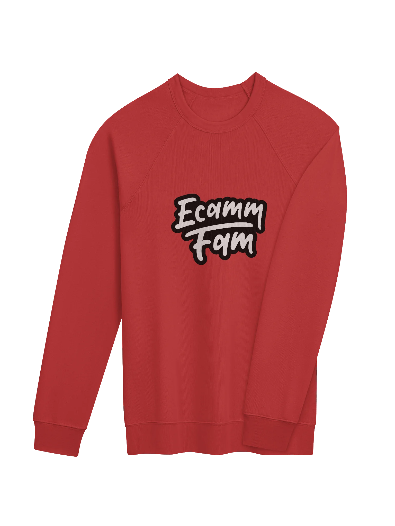 NEW Ecamm Fam Sweatshirt product image (20)