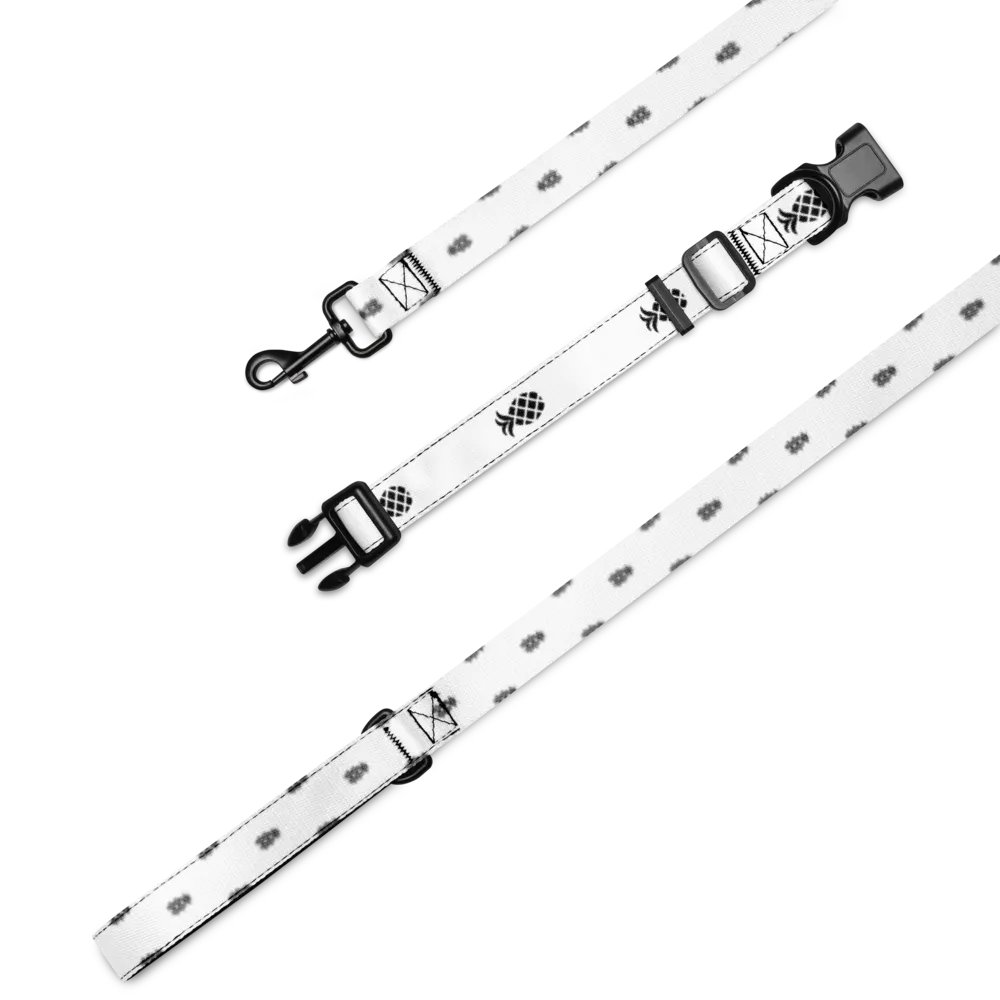 One Collar and Leash product image (4)