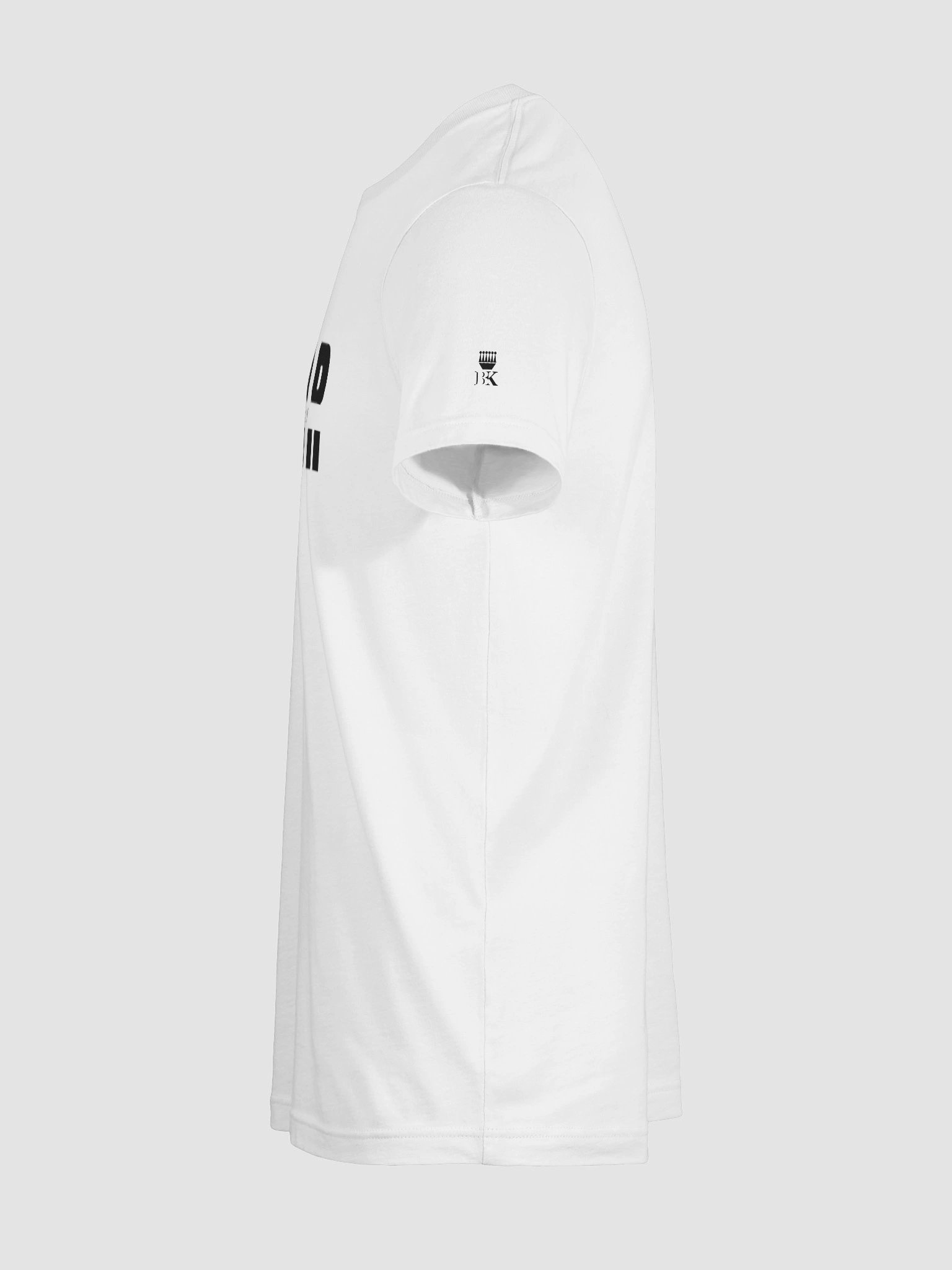 Don't Just Fly, Soar. Regular Fit T-shirt product image (107)