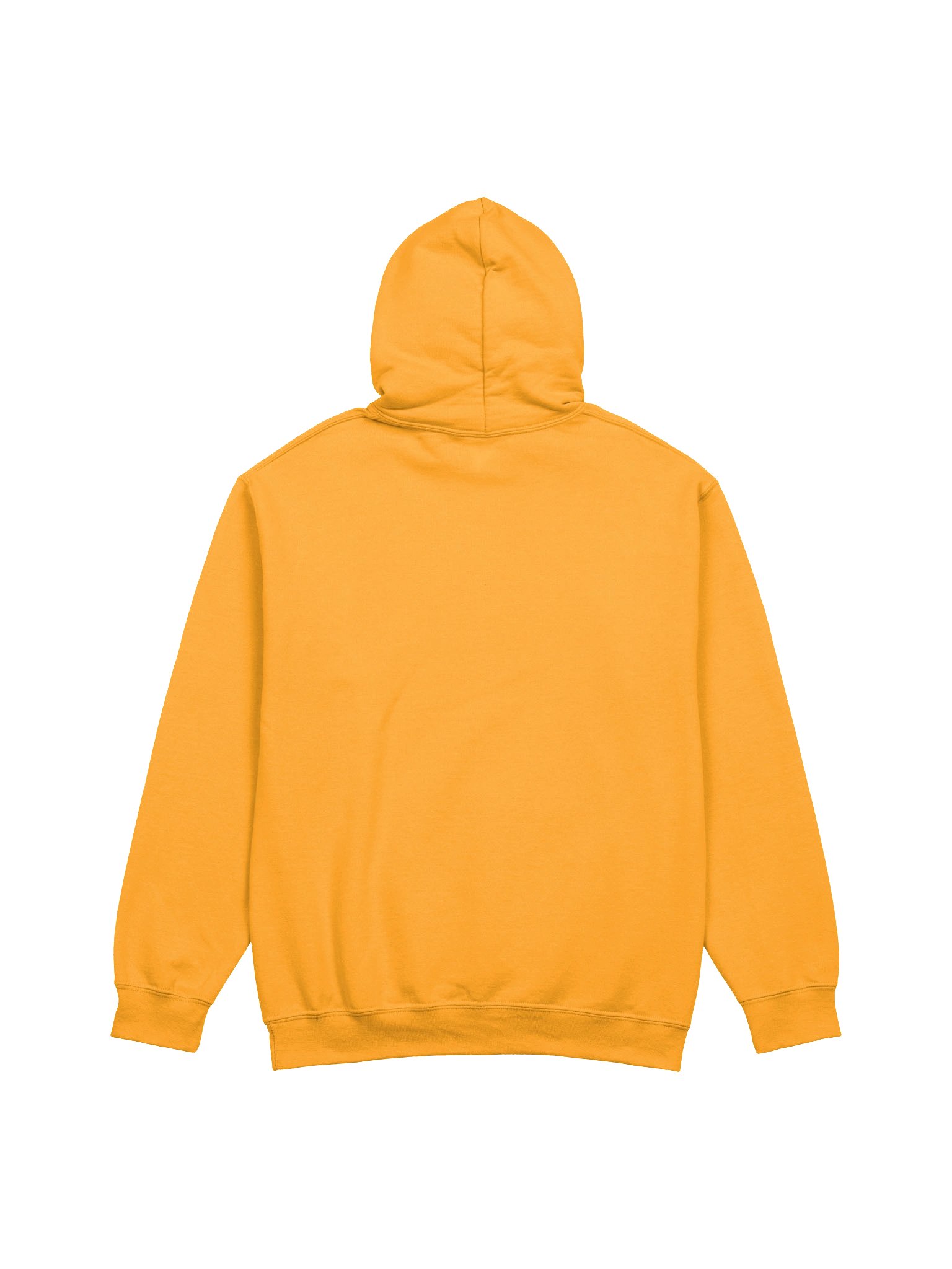 "SLF" - Spring-Lock Films Graphic Hoodie product image (2)