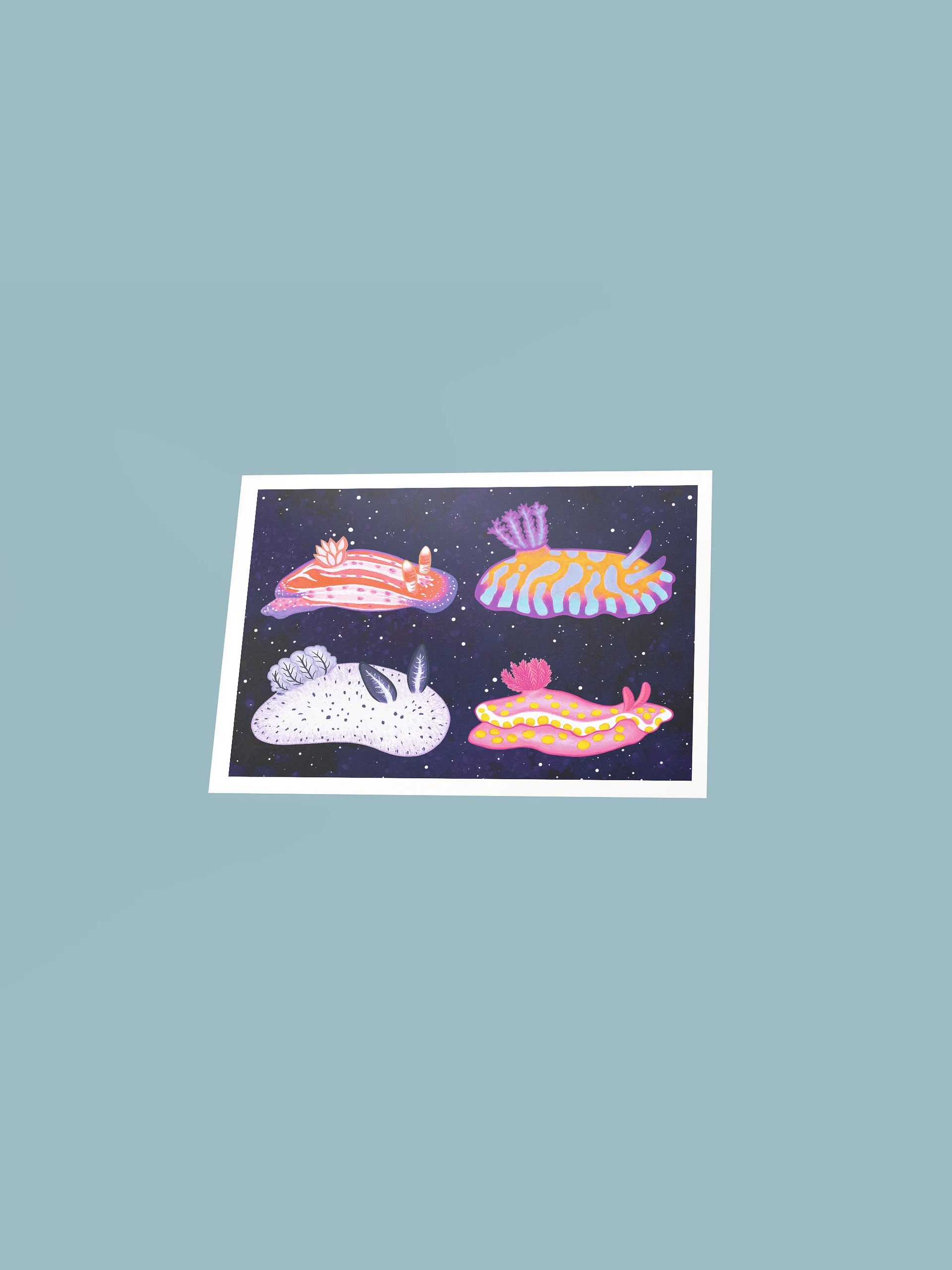 Sea Slugs: Set 1 - Print product image (3)