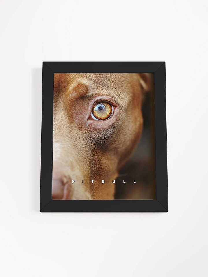 Pitbull's Eye Matte Poster product image (2)