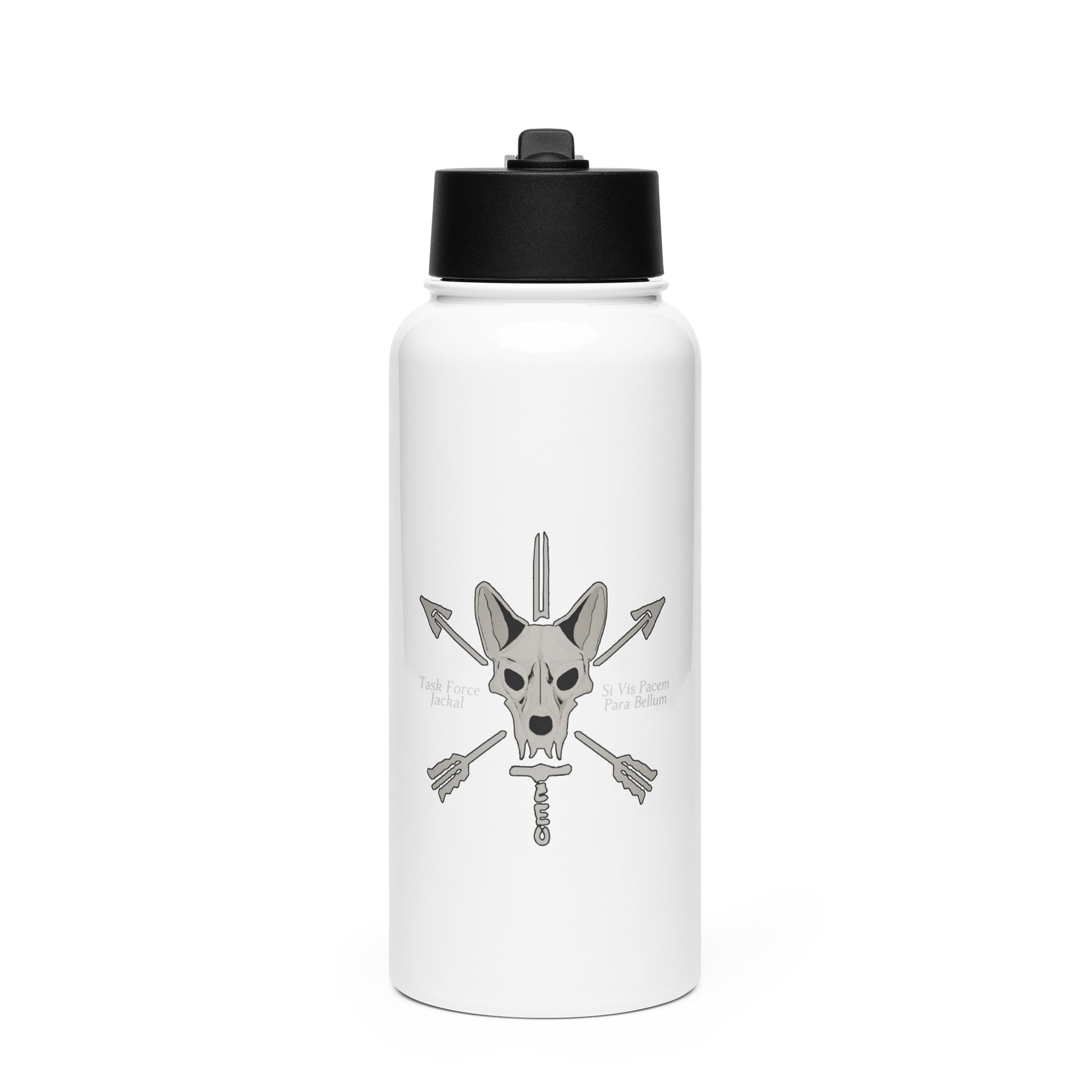 Stainless Steel Water Bottle with a Straw Lid product image (1)