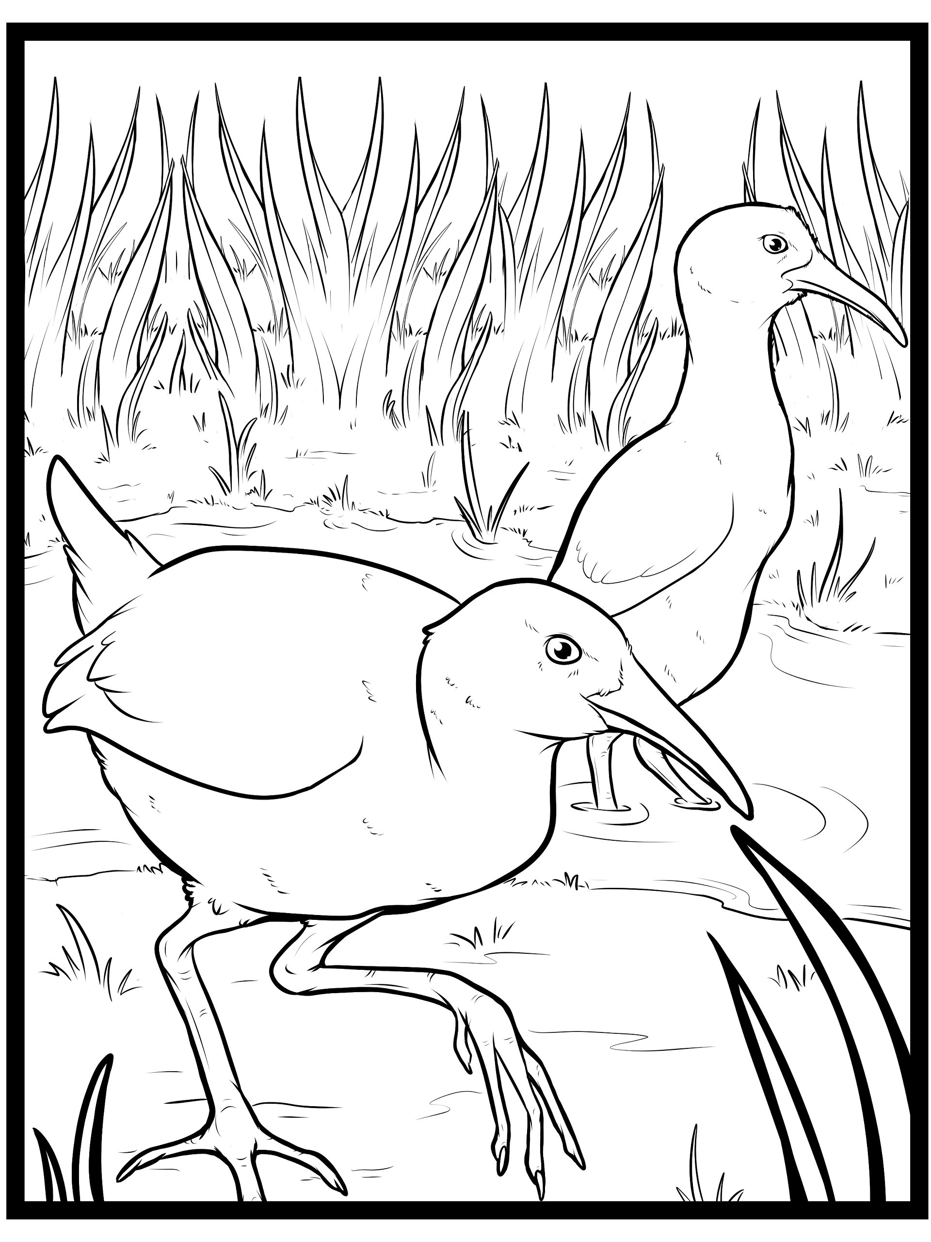 Ridgeways Rails- Coloring pages product image (1)
