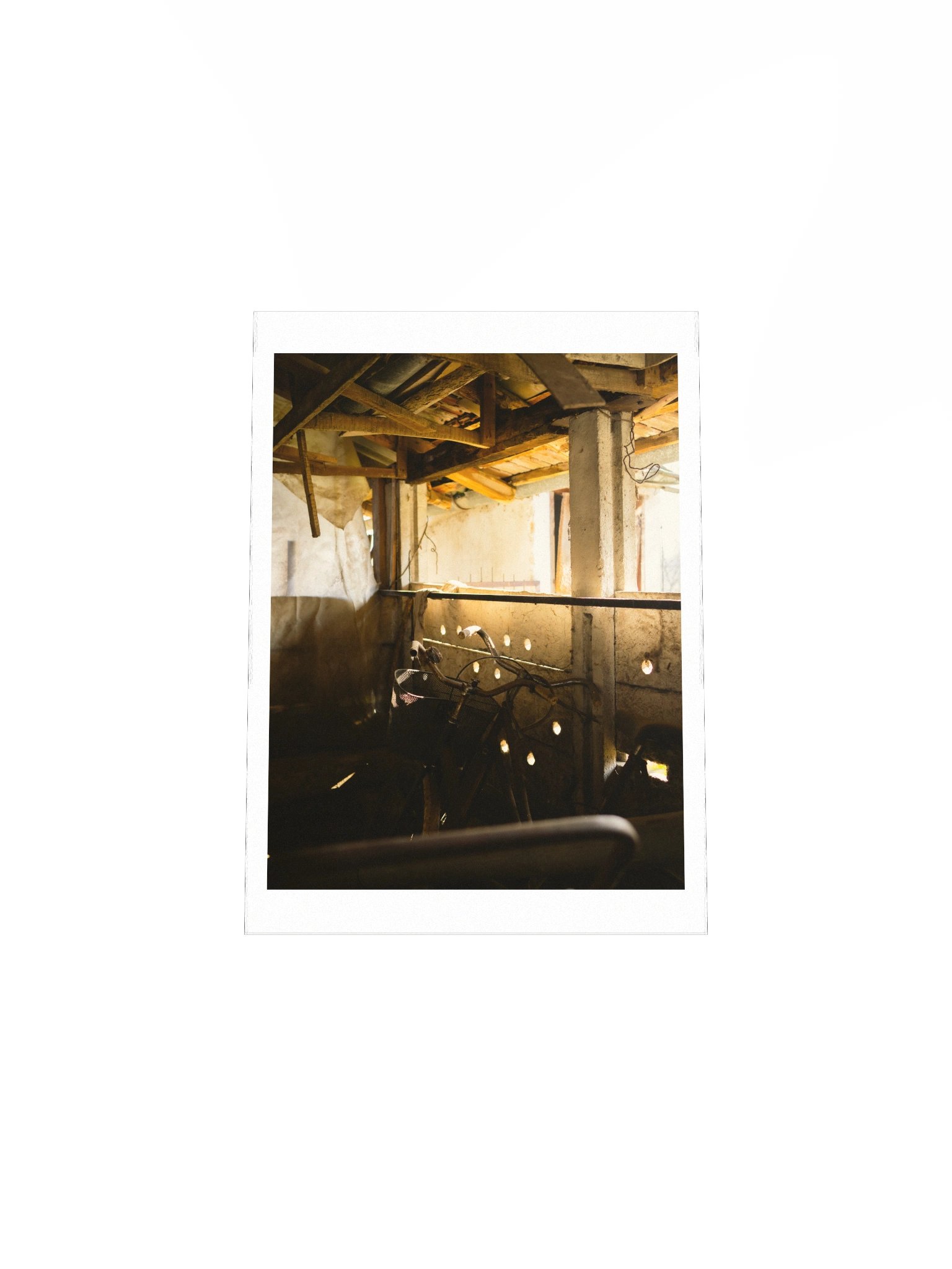 My Grandma’s Yard - Countryside Photography Print product image (5)