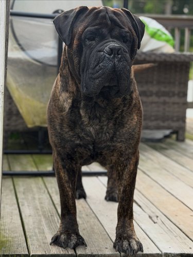TiTAN 😍