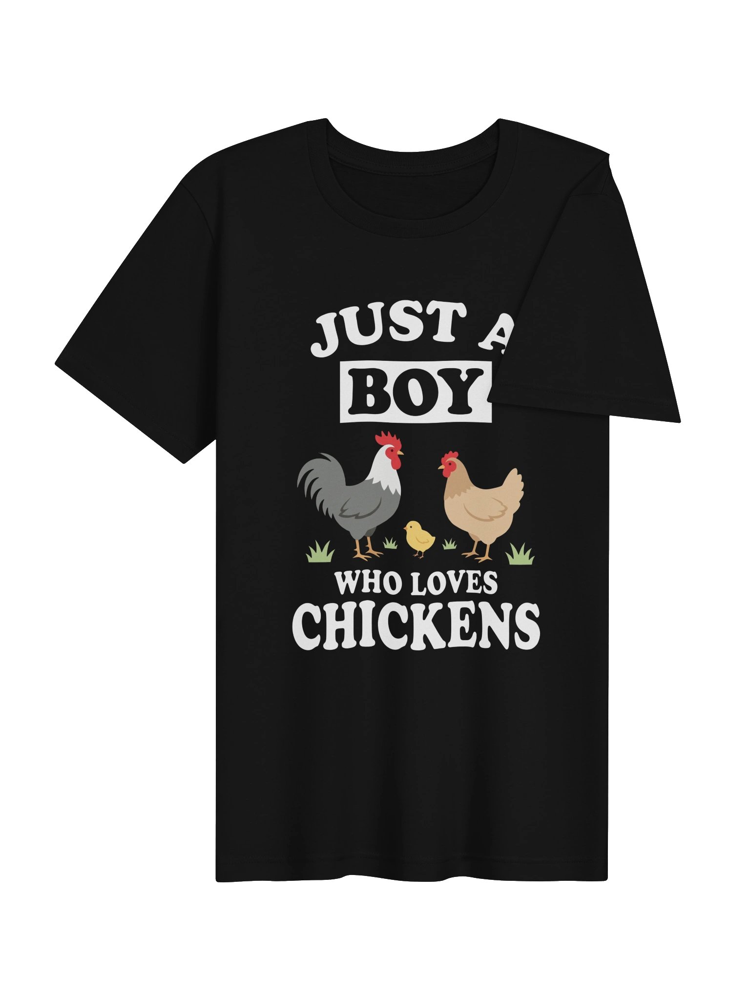Boy Who Loves Chickens tshirt product image (4)