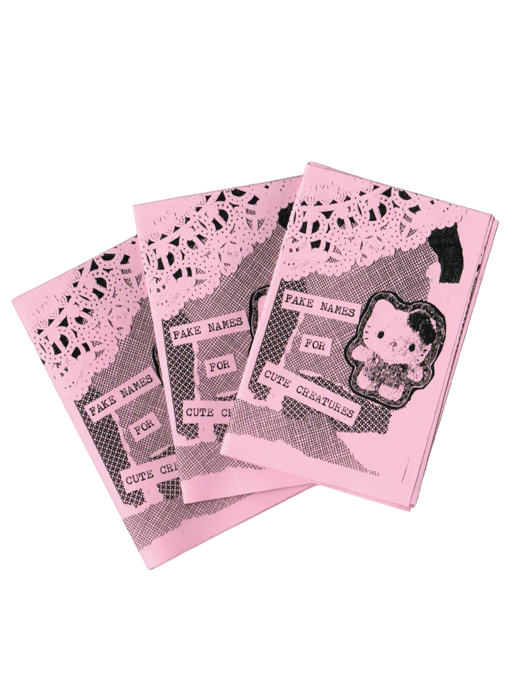 "Fake Names for Cute Creatures" Minizine product image (1)