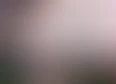 Pokemon's tag thumbnail