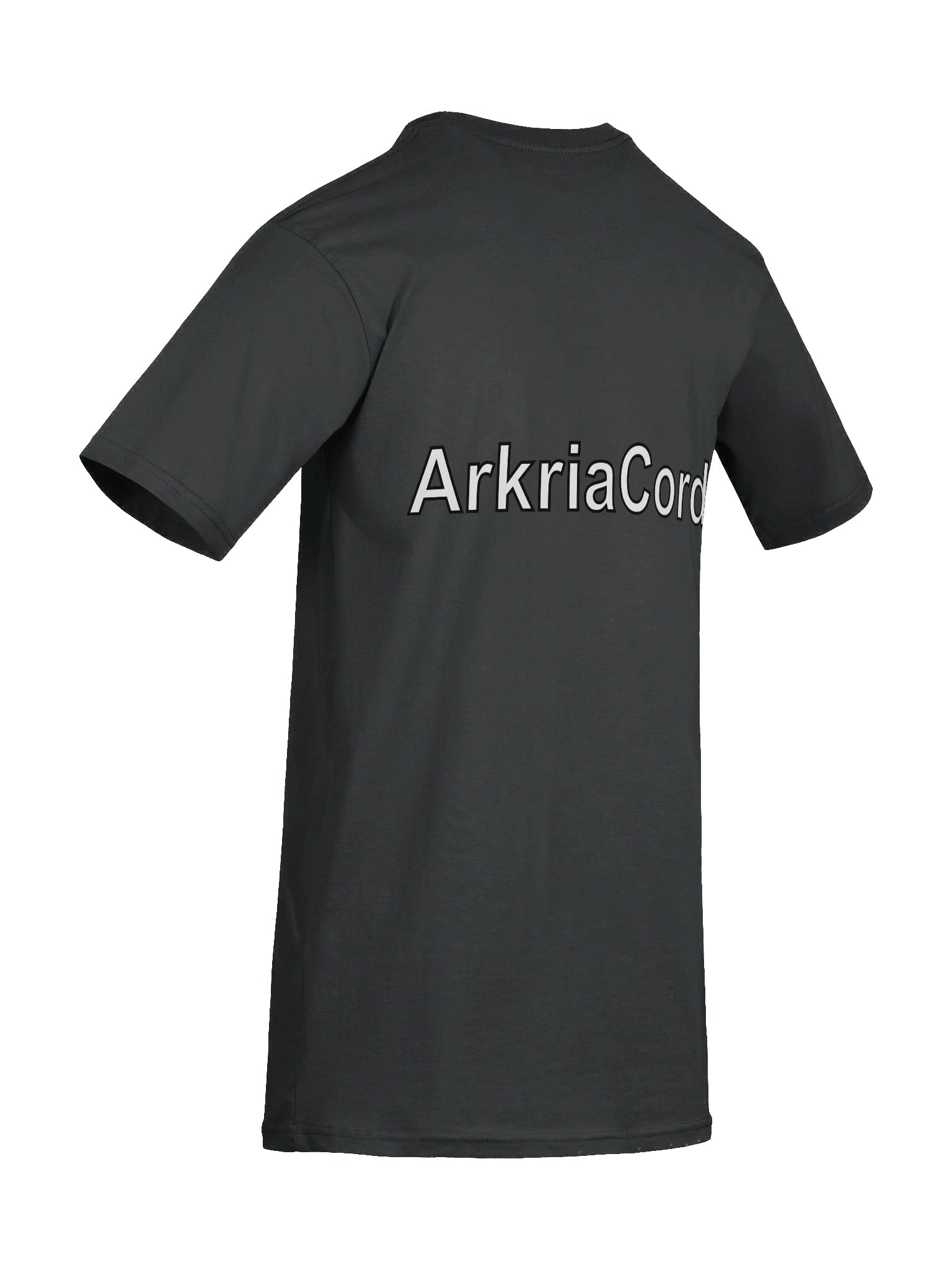 ArkriaCord Logo Heavyweight Men's Premium Tee product image (67)