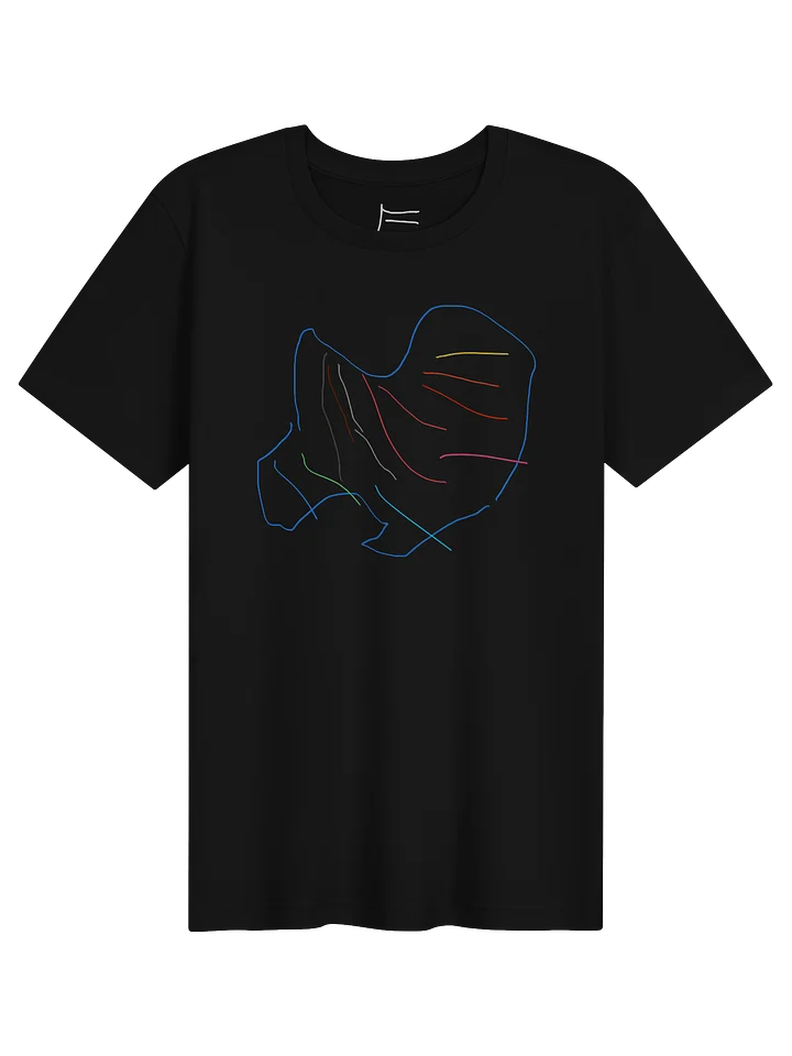 e rainbow wing tee (adult) product image (1)