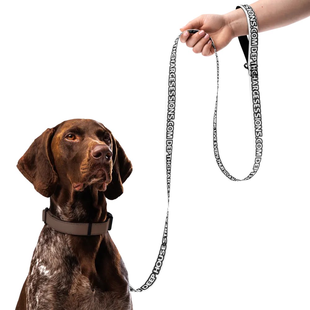 DCS Leash product image (7)
