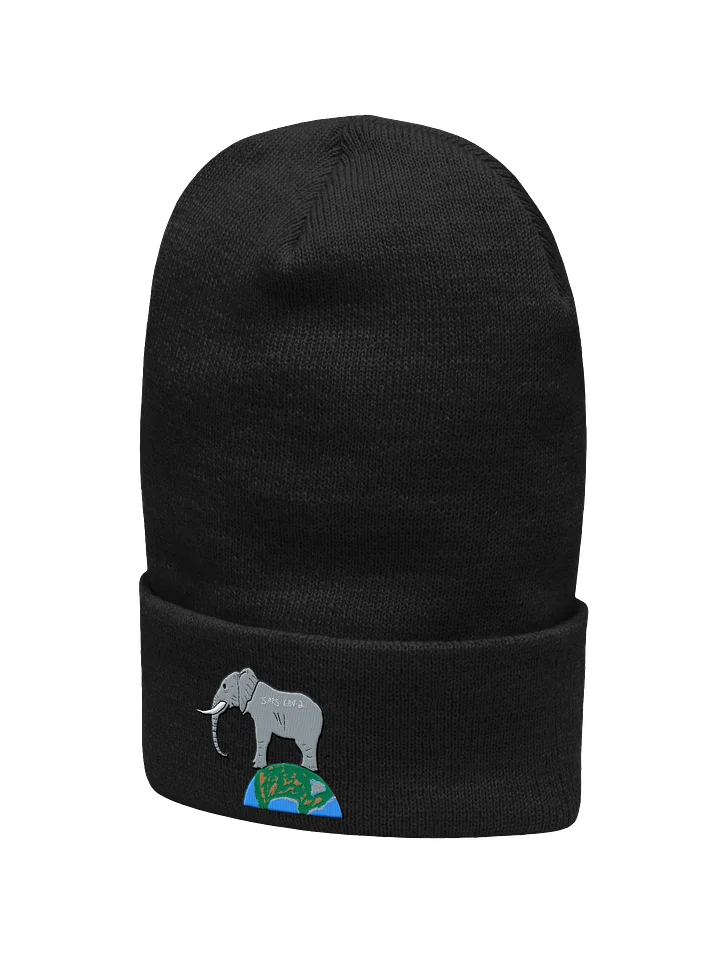 Elephant In The Room beanie (covid) product image (2)