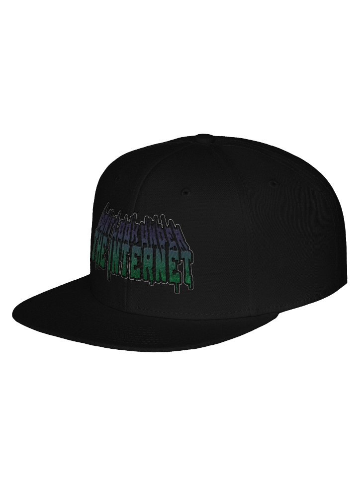 DLUTI Snapback product image (2)