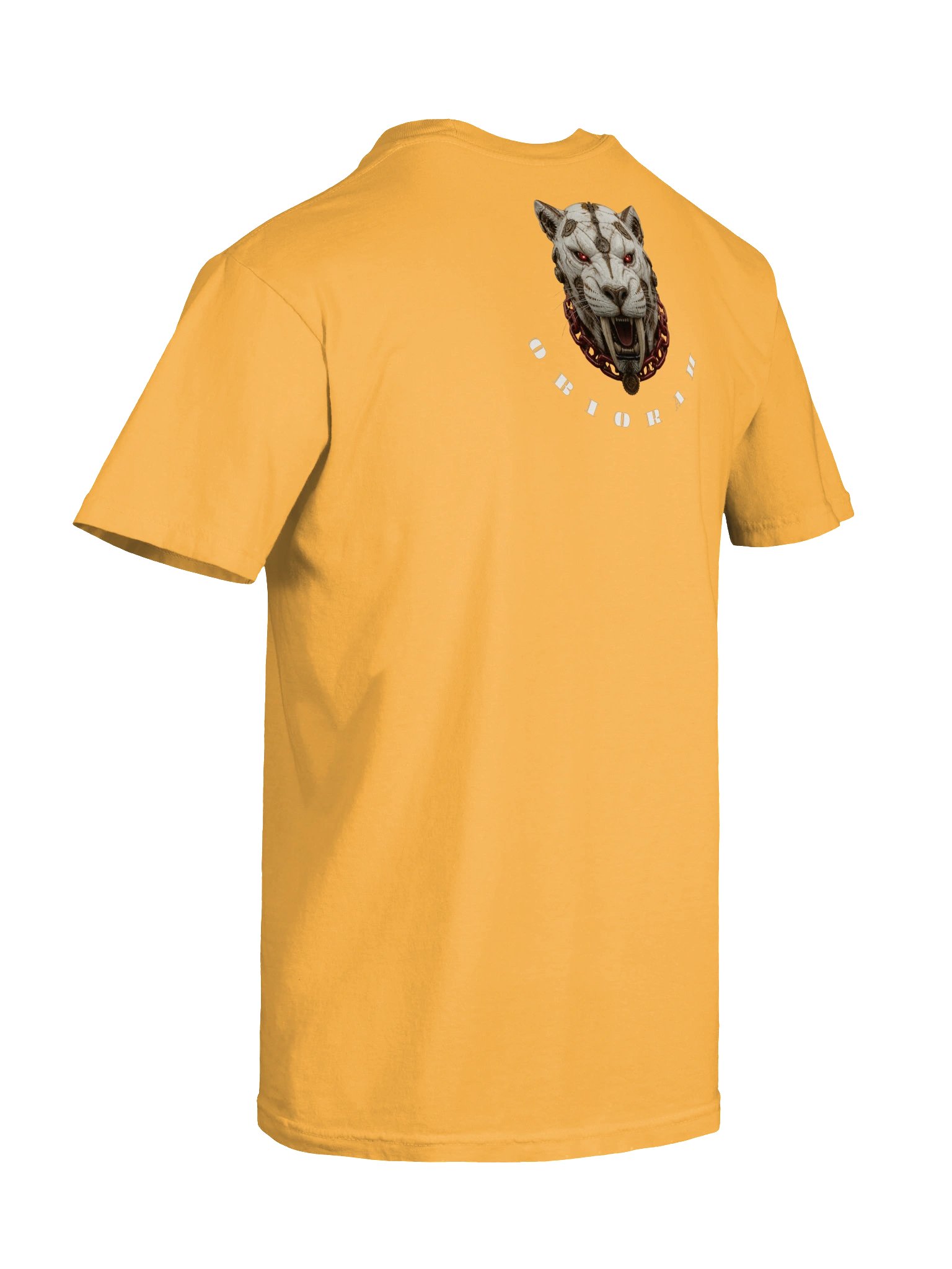 Democrat From America - Flag Tee product image (8)