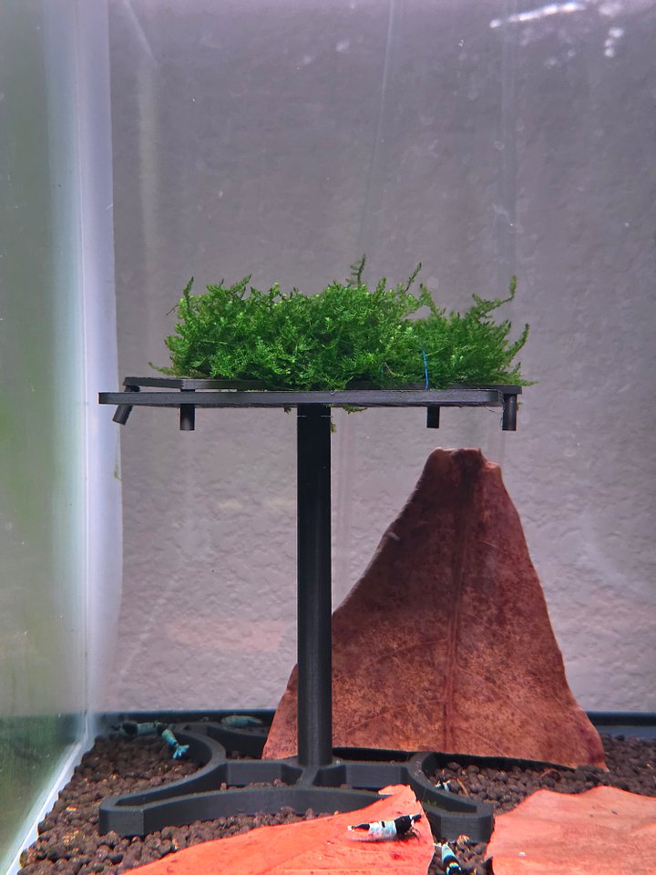 LIFTED 4X4 MOSS TABLE product image (2)