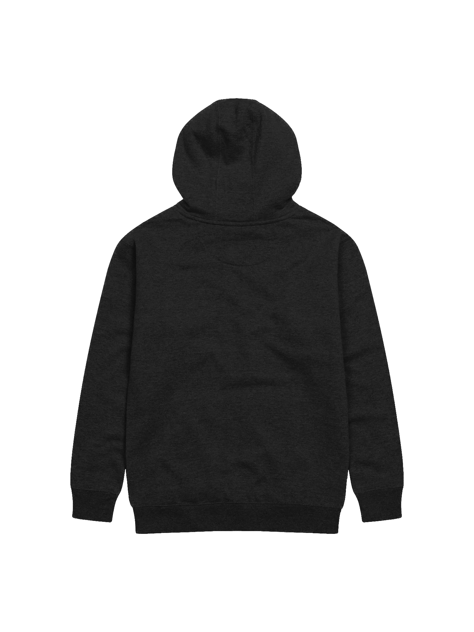 PAG Hoodie product image (2)