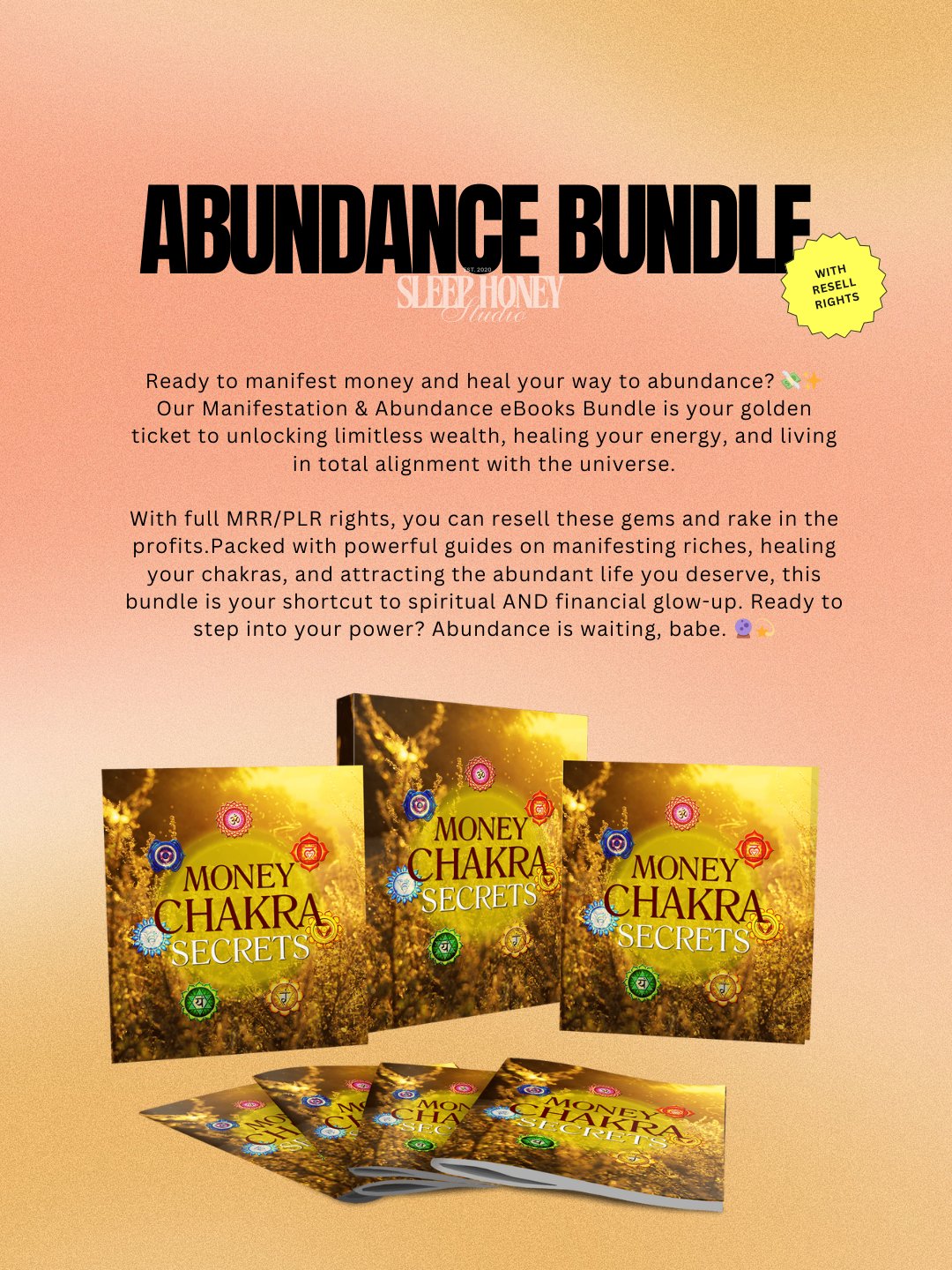 Manifestation & Abundance Bundle 250 Spiritual eBooks With Resell Rights product image (3)