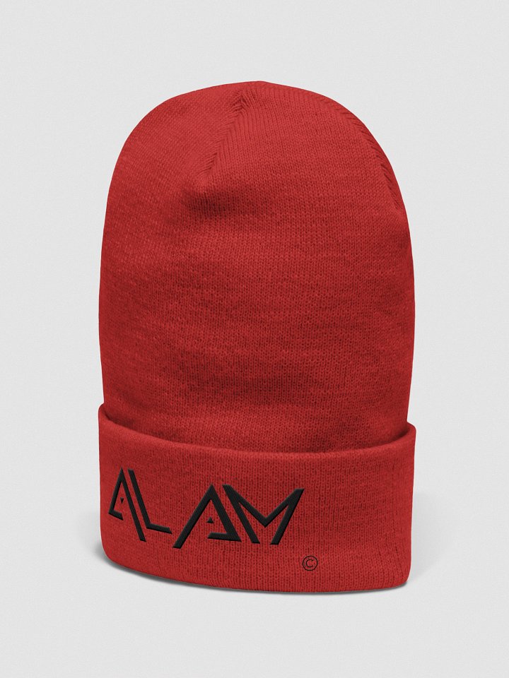 ALAM Beenie product image (7)
