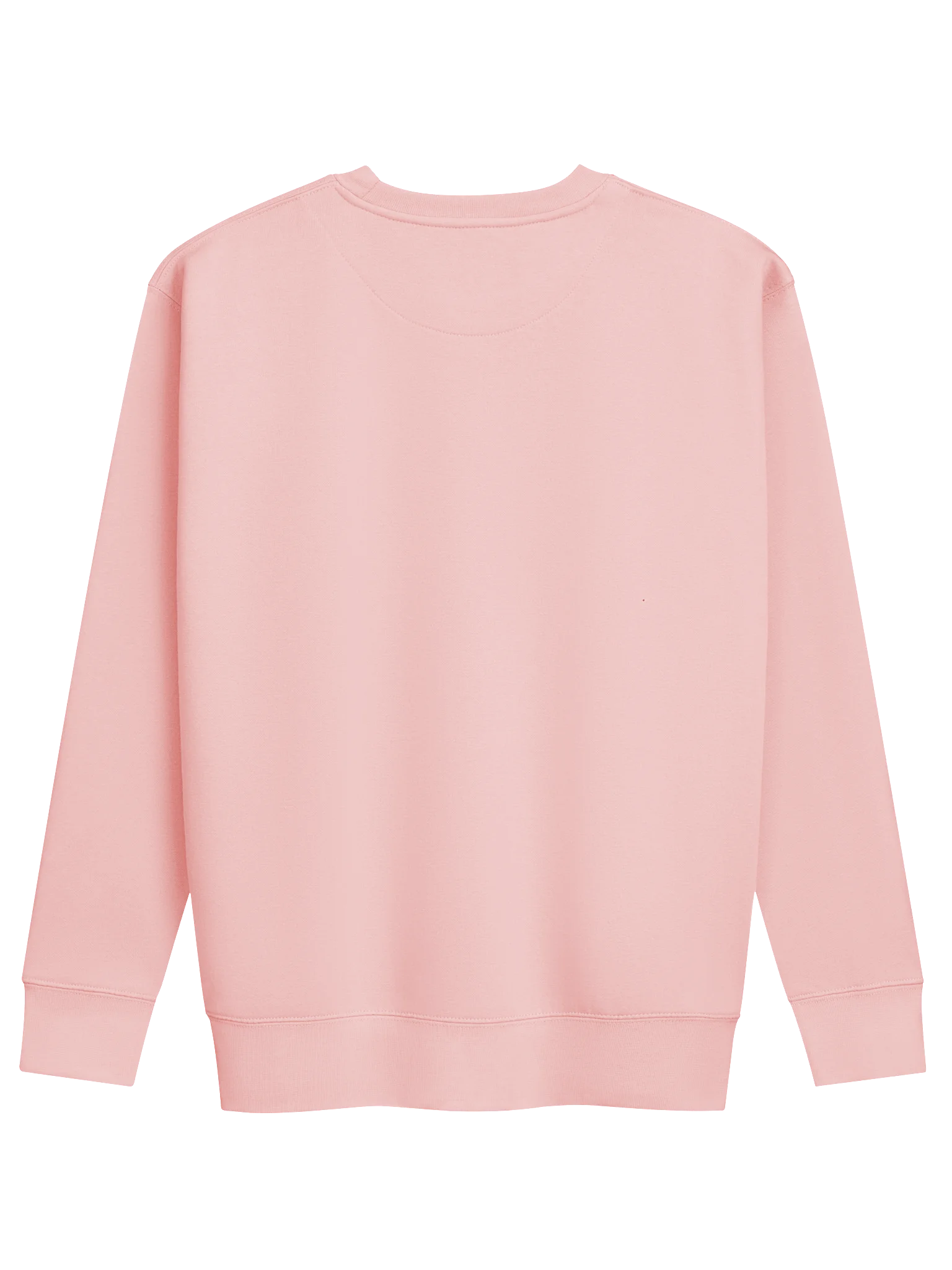 The Flamingo Heritage Sweatshirt 🦩 product image (134)