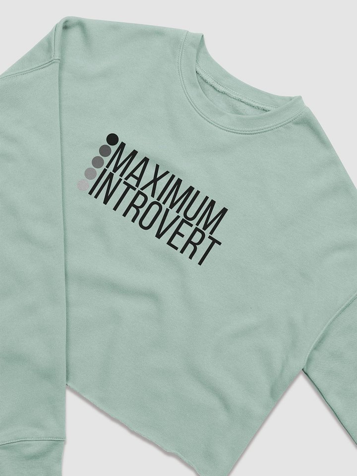 Maximum Introvert Long Sleeve Crop product image (1)