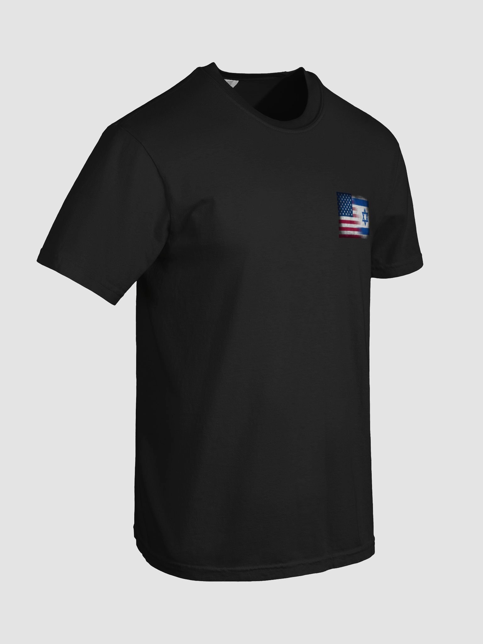 Unity Flags Distressed Tee product image (25)