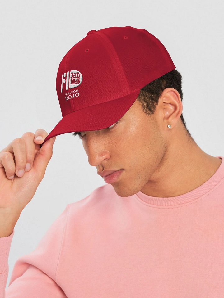 Famicom Dojo Switch Logo Cap product image (2)