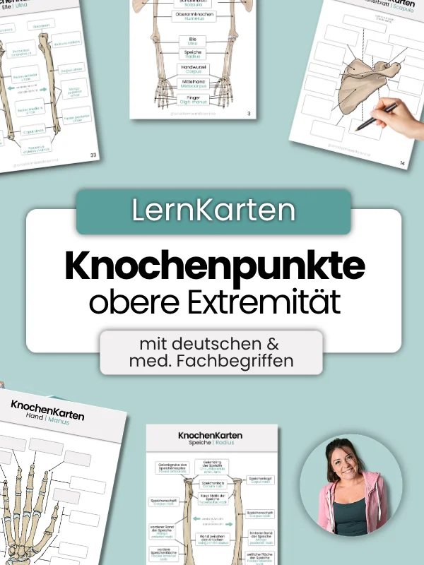 LernKarten 'Knochenpunkte obere Extremität' product image (1)