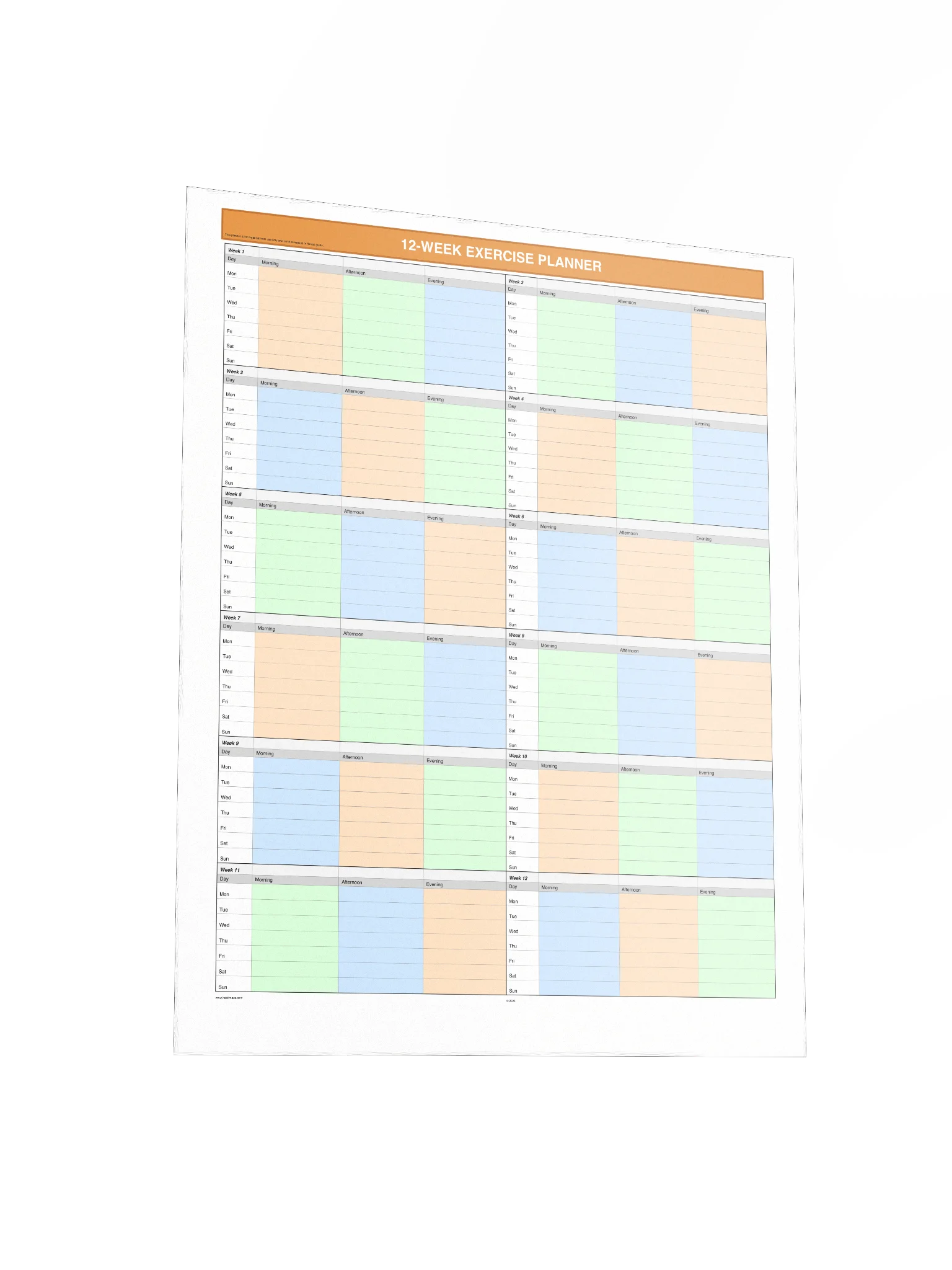 12 Week Exercise Planner product image (4)