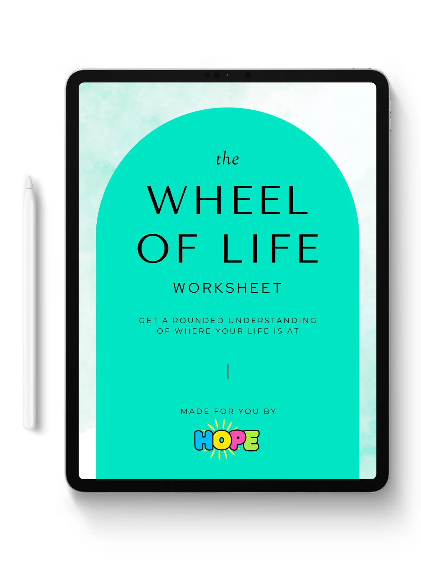Wheel of Life: A Guided Worksheet for Balance and Clarity product image (2)