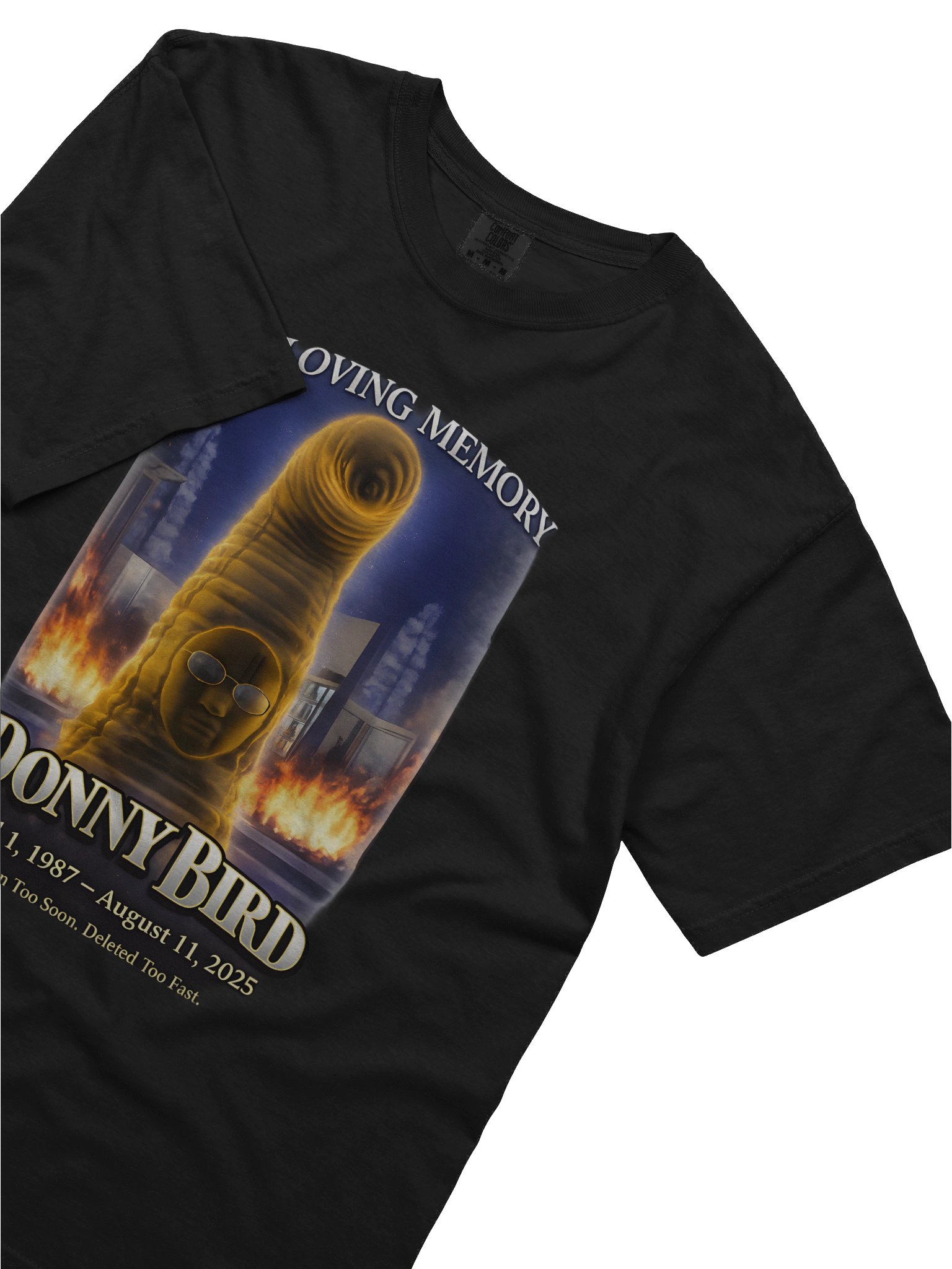 R.I.P. Donny Bird Tee product image (40)