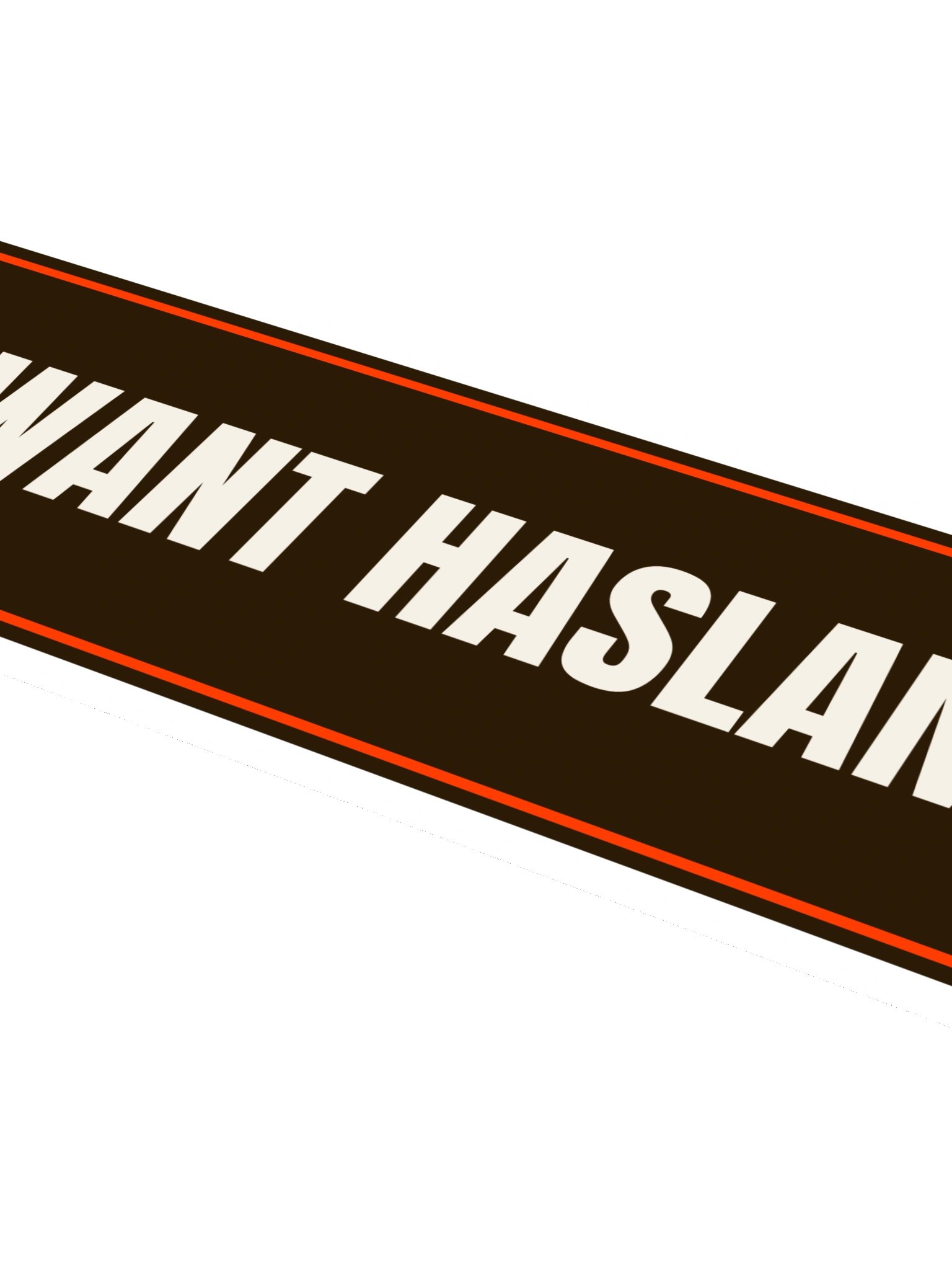 WE WANT HASLAM OUT Bumper Sticker product image (4)