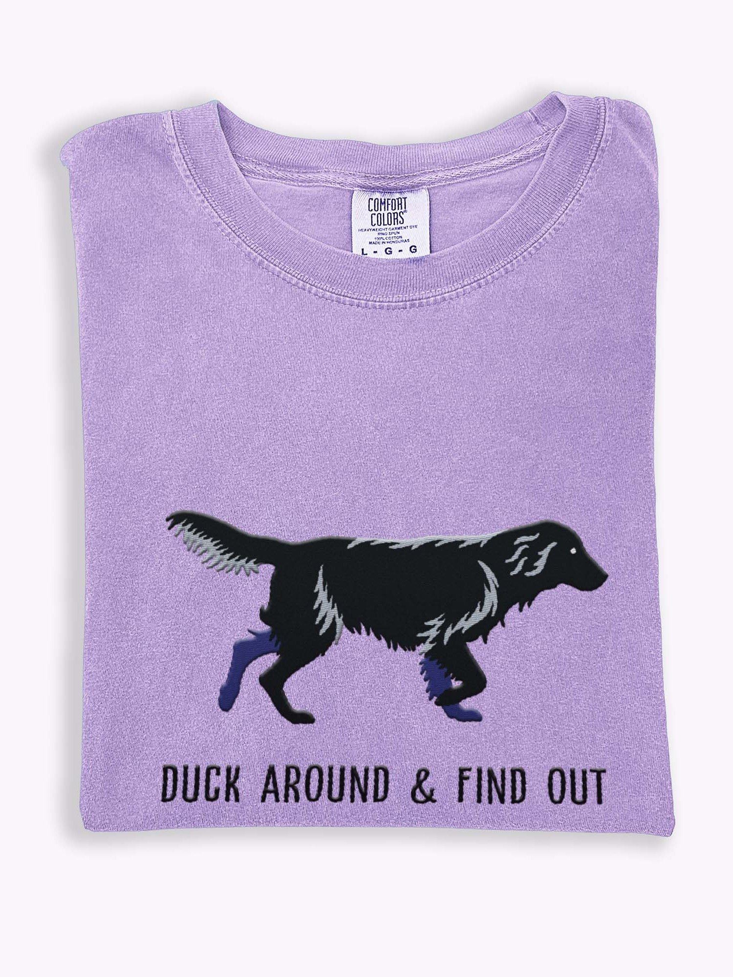 Duck Around and Find Out T-Shirt(Embroidered) of a Flat-Coated Retriever(Black) product image (1)