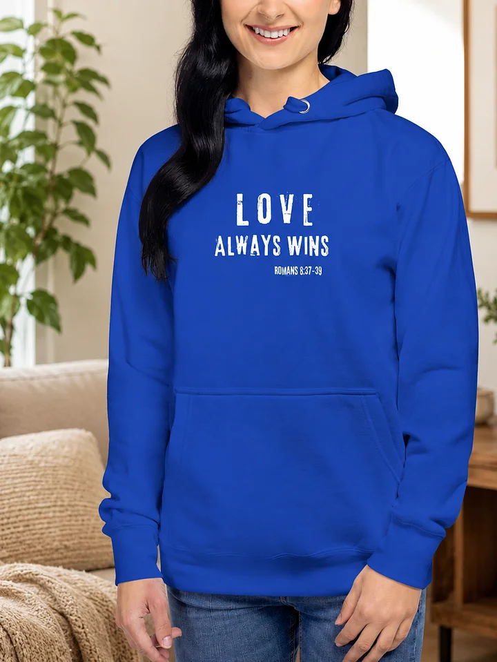 Love Always Wins Premium Hoodie product image (9)