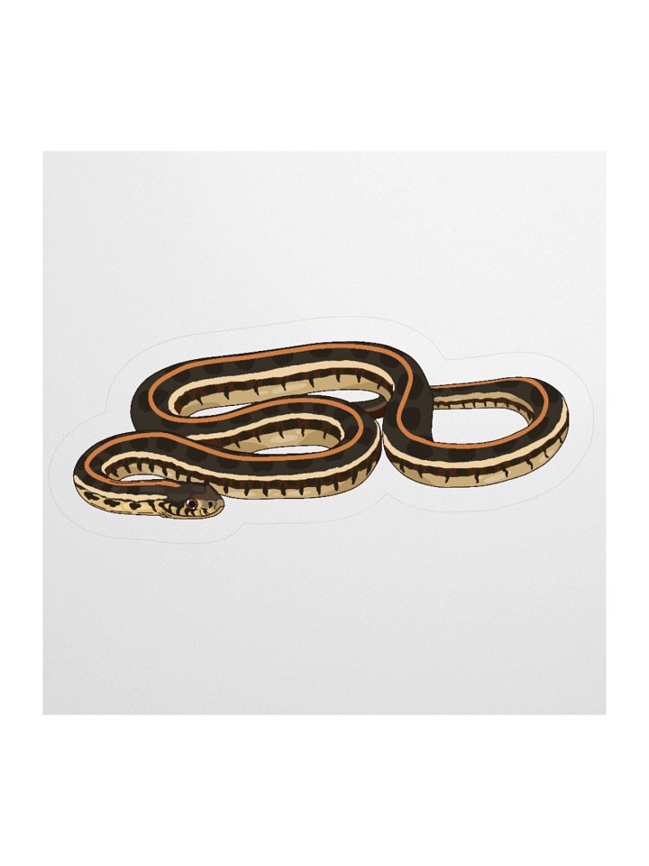 Plains Garter Snake - Thamnophis radix Sticker product image (1)
