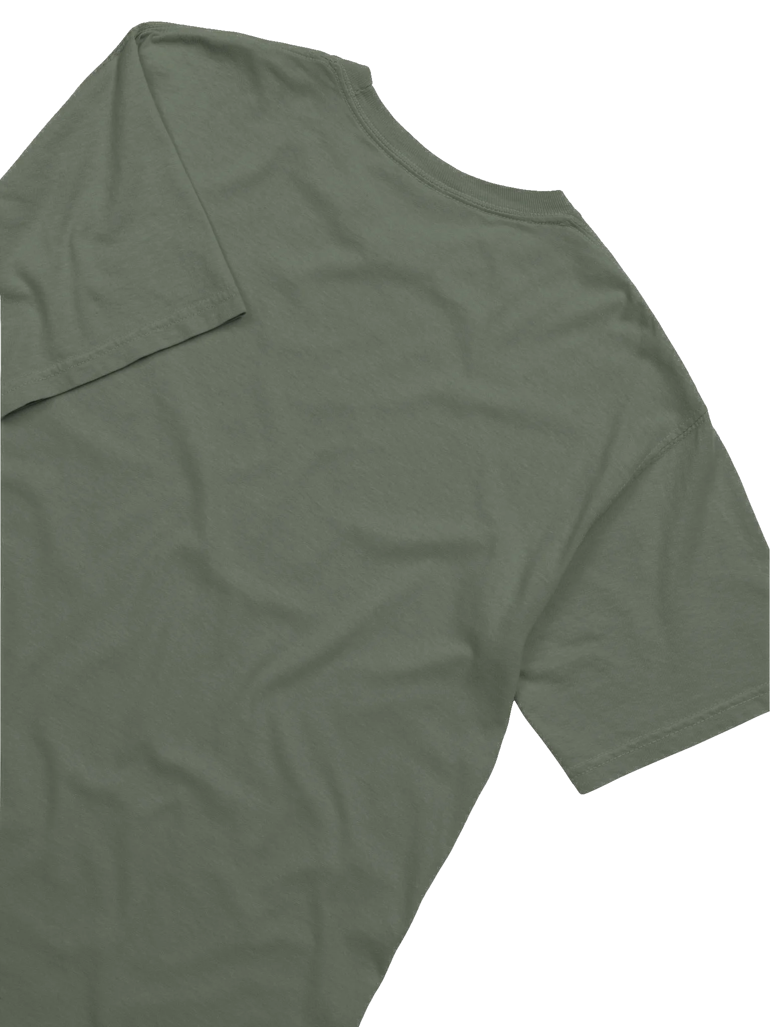 Bear Roar Tee product image (30)