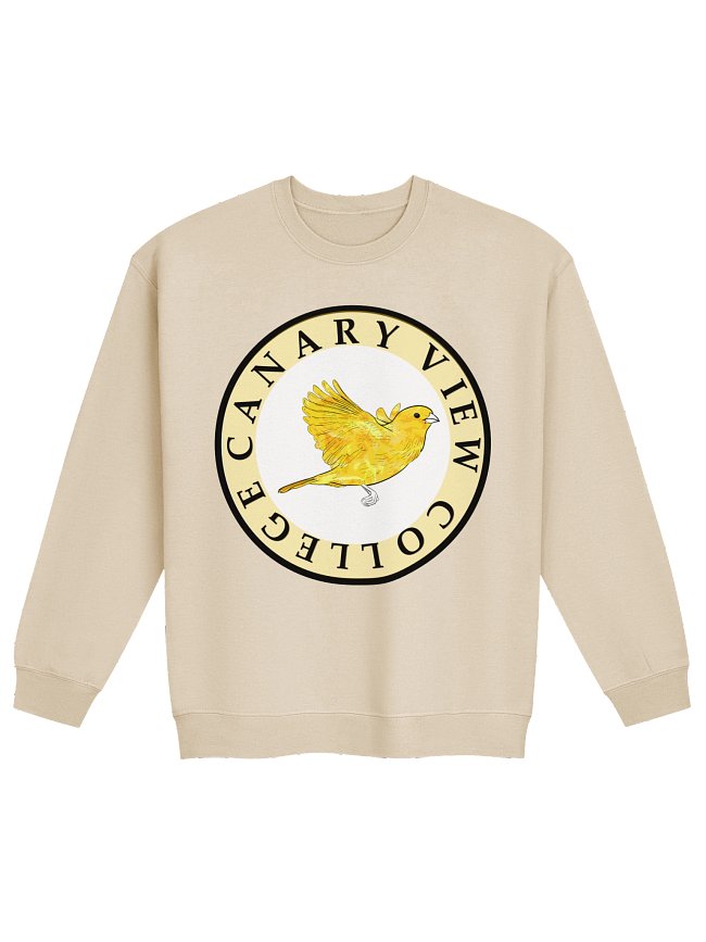 CANARY VIEW COLLEGE GEAR 📚🕵️✨