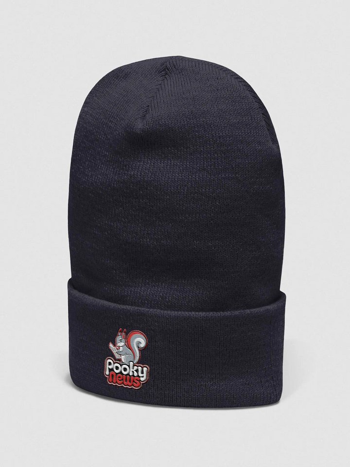 Pooky News Embroidered Beanie product image (2)