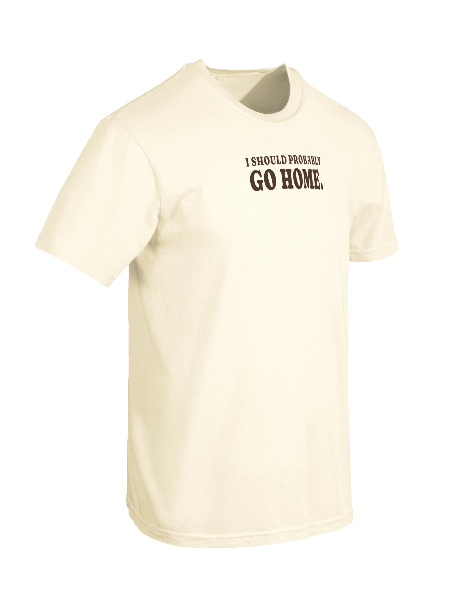 I Should Probably Go Home Tee (Ivory) product image (10)