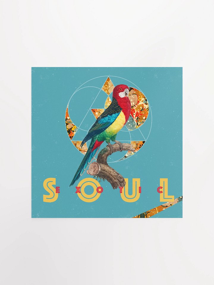 Vibrant Parrot Perch Poster product image (4)
