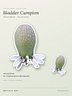 White Wildflower Sticker – Real Macro Photography