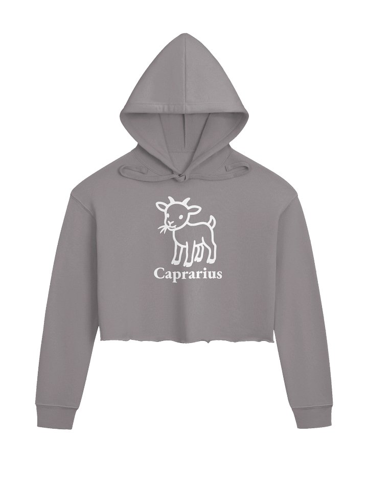 Benny Crop Hoodie product image (2)