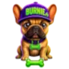 Burnie Shop