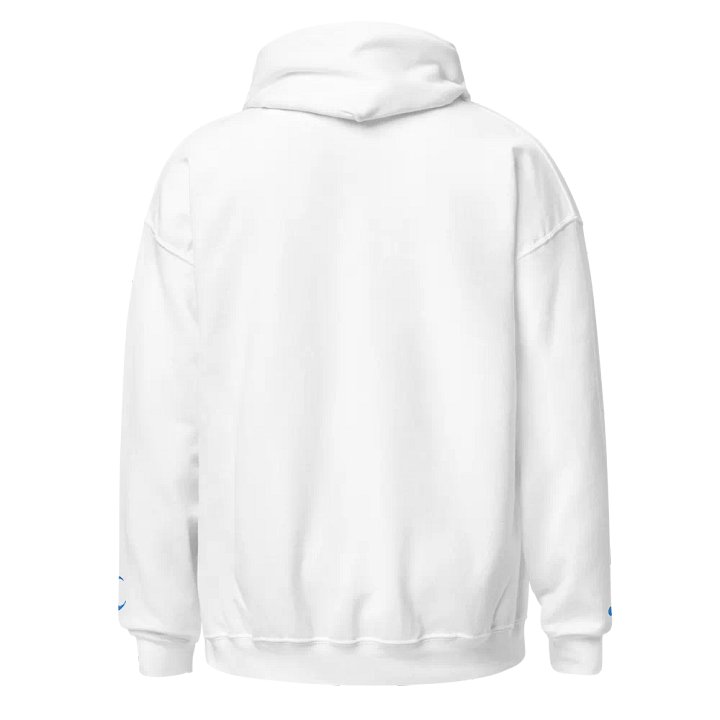 Embroidered "SabaSphere" Hoodie product image (2)