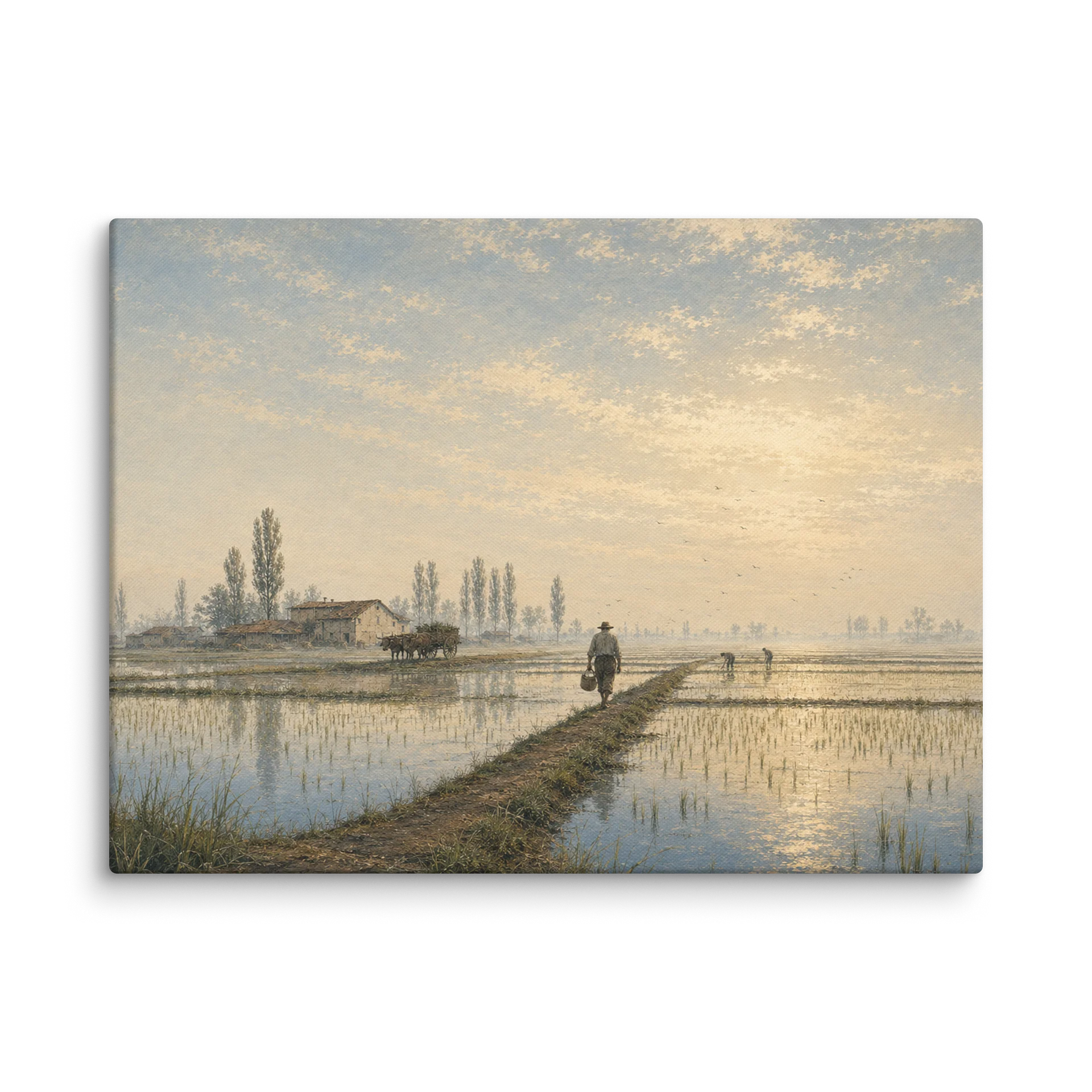 Le Risaie di Pavia — Gallery Canvas product image (1)